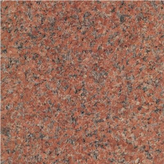 China G386 Calca Red Granite Tiles