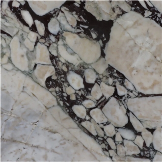 Calacatta Viola Marble