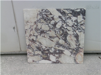 Calacatta Viola Marble Tiles