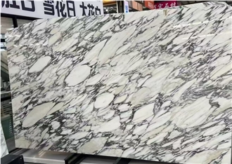 Italy Arabescato White Marble Stone Slab Wall Tiles
