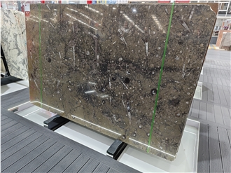 Gran Fossil Marble Slabs For Wall And Flooring Decor