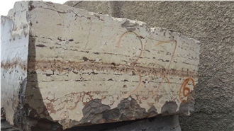 Devonian Fossil Brown Marble Blocks