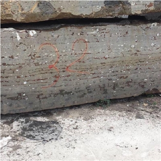 Devonian Fossil Brown Marble Blocks