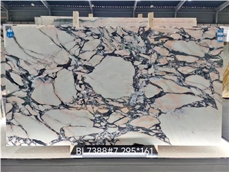 Italy Calacatta Viola Marble Slabs Luxury Stone