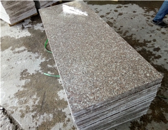 Quality-Ensured China G664 Pink Granite Slabs