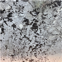 Splendor White Granite Tile