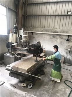Manual Arm Polishing Machine SF-2500/3000