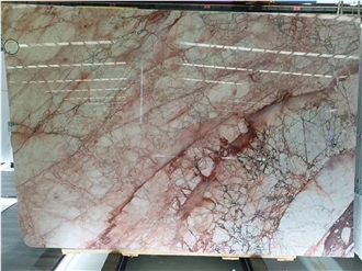 Breccia Pernice Marble Slabs