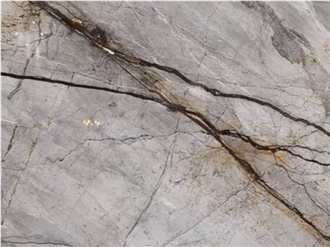 Silver Roots Marble Tiles