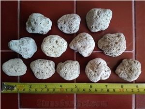 Pumice Stone