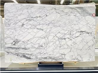 Italy Arabescato White Marble Slabs & Tiles