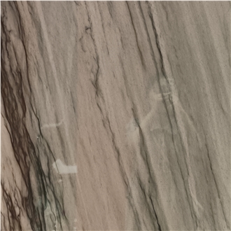 Silver Wave Quartzite Tile