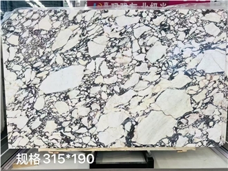 Italy Calacatta Viola Marble Slabs