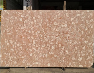 Fossilius Shell Pink Marble Slabs