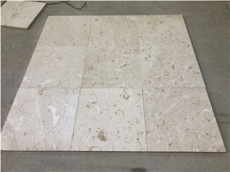 Shell Limestone Tiles