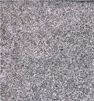 Zhangqiu Black Granite,Shandong G654 Tiles
