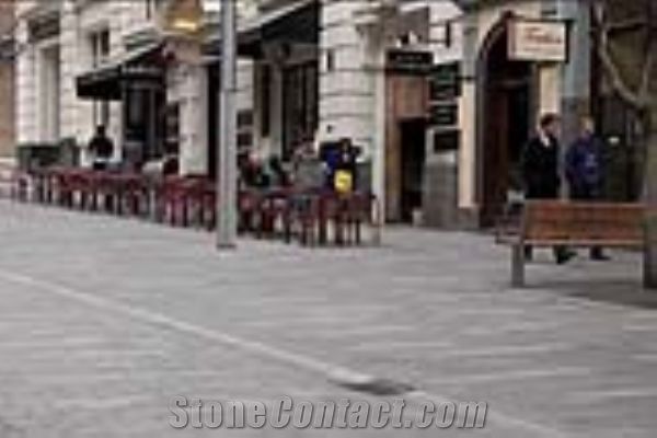 PEDESTRAIN ,STREET  2012