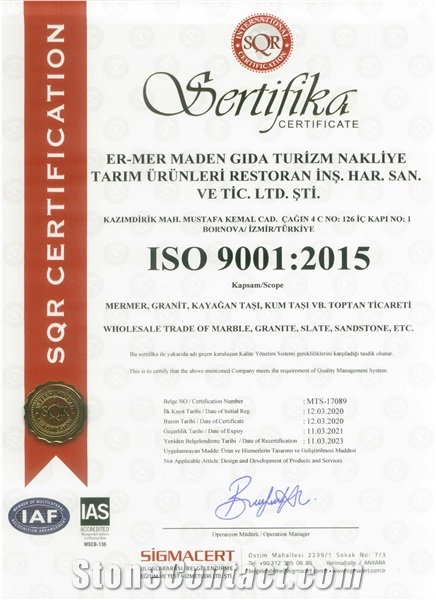 ISO 9001