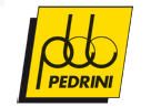 Pedrini S.p.a. ad Unico Socio