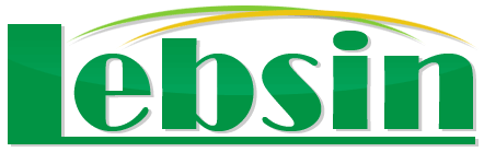 JiuJiang Lebsin Slate Co.,Ltd