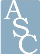 American Stone Company