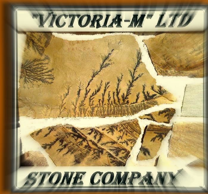 VICTORIA-M LTD