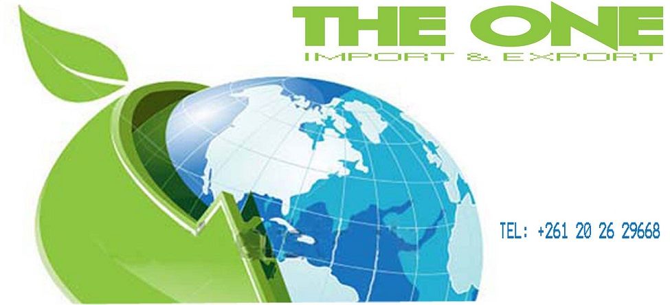 The One Impex Madagasikara