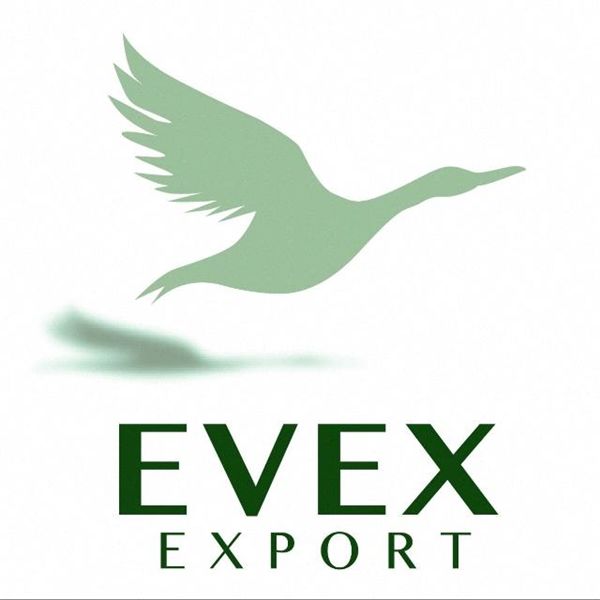 Evex Export logo