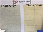 Coverings 2017