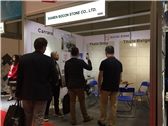 Coverings 2017
