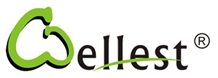 Wellest Industry Inc