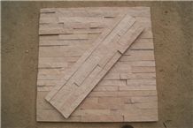 Coverings 2010