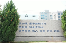 CompanyImages