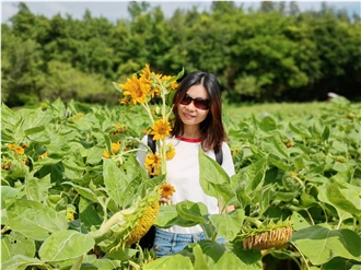 Rosaline Luo