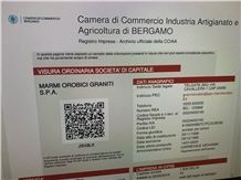 Business license