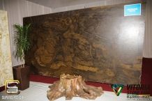 Vitoria Stone Fair 2017
