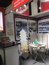 Coverings 2017