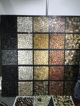 Coverings 2016