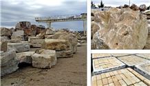 Company photo