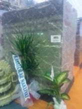 Trade show