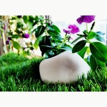 GNZ Stones 2017