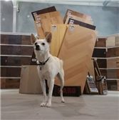 Company photo