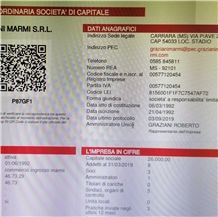 Trade license