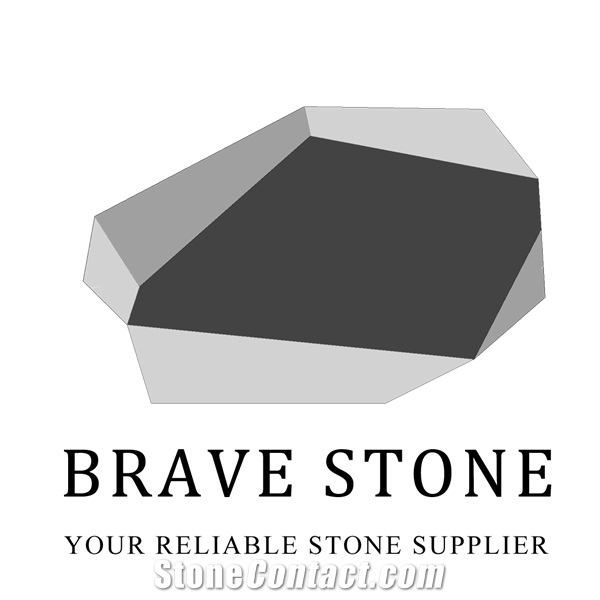 BRAVE STONE LIMITED BRAVE STONE LIMITED