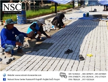 The Prymary Project Bangkok Thailand 2019