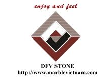 DFV STONE logo