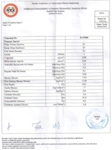 Analysis Report