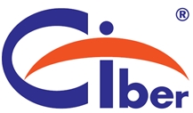 Ciber srl