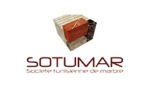 Sotumar Export logo