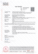 TEST REPORT